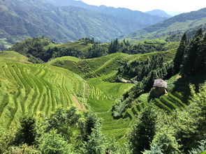 穿越华夏大地，探寻50个绝美旅游胜地——中国最美风景视频集锦