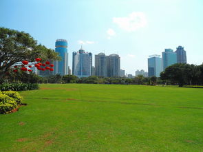 揭秘北京植物园，绿色的科普天堂，城市中的自然绿洲