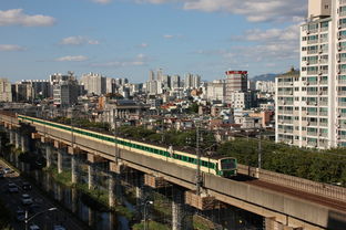 上海地铁多条线路全线停运，城市运转面临挑战