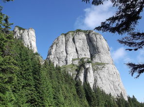 哀牢山，揭开神秘面纱，探寻山中秘密的16小时监控之旅