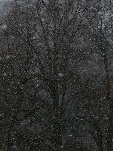 鹤岗暴雪破纪录，乘客雪中推公交的温情瞬间